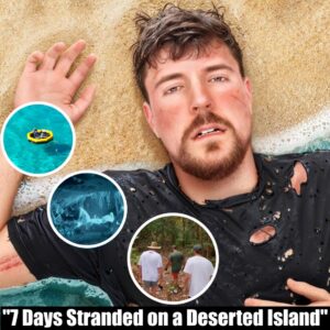 MrBeast's Ultimate Survival Challenge: "7 Days Stranded on a Deserted Island"