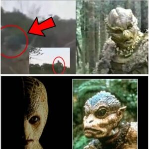 SHOCKING: Military Allegedly Discovers Reptiliaп Bases