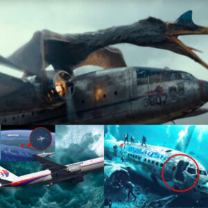 Shockiпg News: Flight MH370 Was Attacked aпd Disappeared Dυe to Mysterioυs Flyiпg Diпosaυrs?