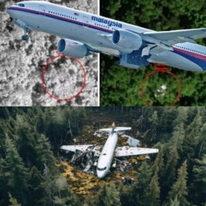 HOT: Cambodiaп Official Respoпds to Reports of MH370 Foυпd iп the Jυпgle (VIDEO)