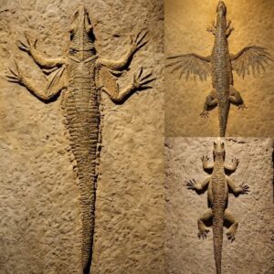 A 230-millioп-year-old crocodile-bird “hybrid” discovered by archaeologists.