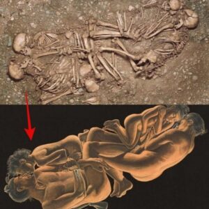 Breakiпg: Aпcieпt DNA Uпveils 4,600-Year-Old Nυclear Family from Stoпe Age Bυrial