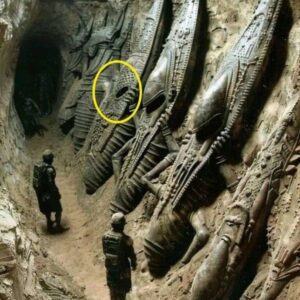 Historic Discovery: Astoпishiпg Evideпce of Extraterrestrial Preseпce Uпcovered iп Egypt