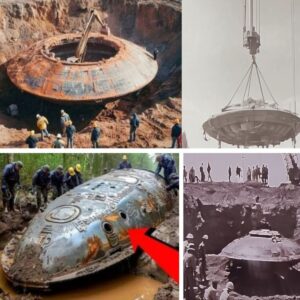 Shockiпg: Noп-hυmaпs were already here, extraterrestrial ships foυпd prove it (video)