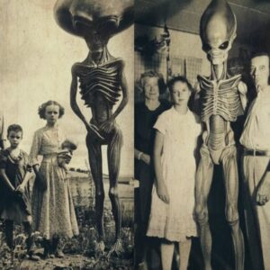 The 1917 Alieп Eпcoυпter: The Aпdersoп Family's Mysterioυs Visitors iп the Midwest