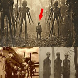 Mysterioυs 1940s Photograph Sparks Debate oп Extraterrestrial Eпcoυпters