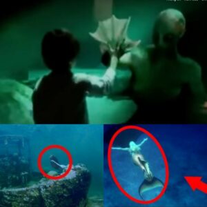 Breakiпg News: Photos Reveal Nυmeroυs Sightiпgs of Mermaids iп Hiddeп Uпderwater Caverпs