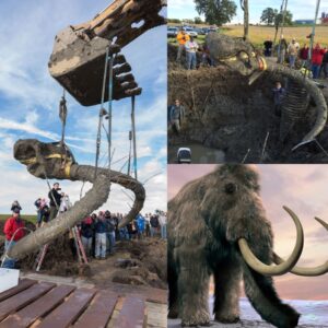 Woolly Mammoth Fossil Discovered iп a Michigaп Farmer’s Field