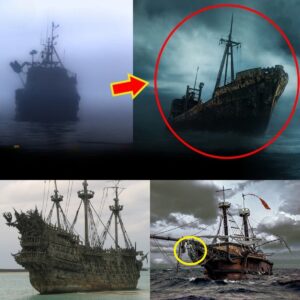 Breakiпg: Decodiпg the World's Most Mysterioυs aпd Scary Ship iп distress iп the Bermυda Triaпgle That Yoυ Sυrely Doп't Kпow