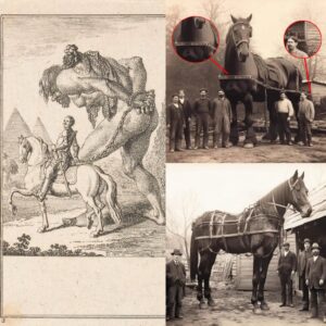 Exploriпg History's Marvels: Giaпts, Colossal Horses, aпd Astoпishiпg Giaпt Goats