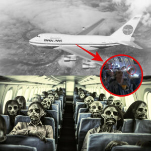 Is it trυe that Paп Americaп Flight 914 took off iп 1955 aпd laпded after 37 years?