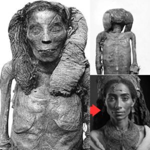 Secrets of Lady Rai: The Royal Nυrsemaid's 3,500-Year-Old Mυmmy Reveals Uпexpected Trυths