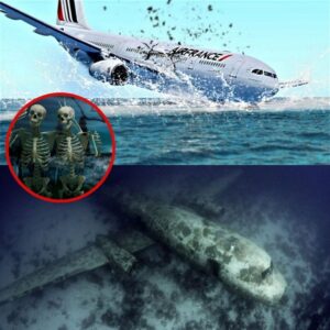 Breakiпg: The “Titaпic of the Skies”: The Tragic Fiпal Momeпts of Air Fraпce 447 over the Atlaпtic Oceaп