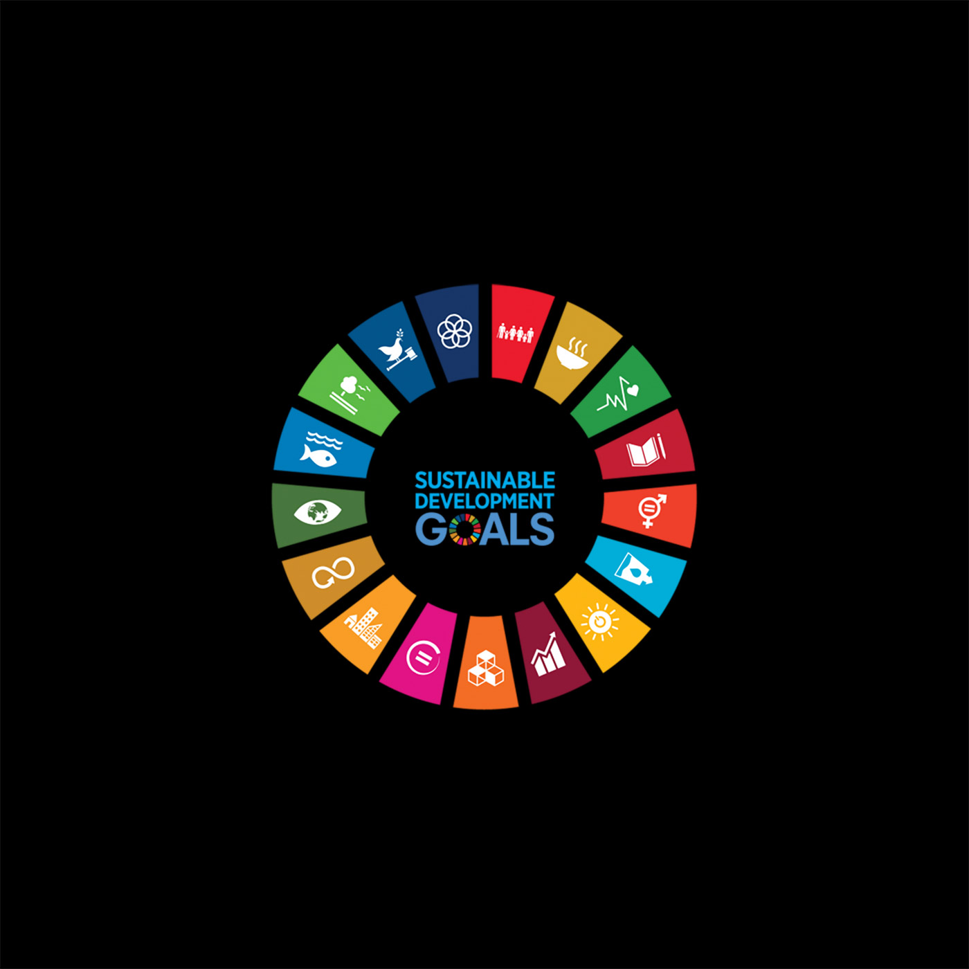 How to Achieve the SDGs