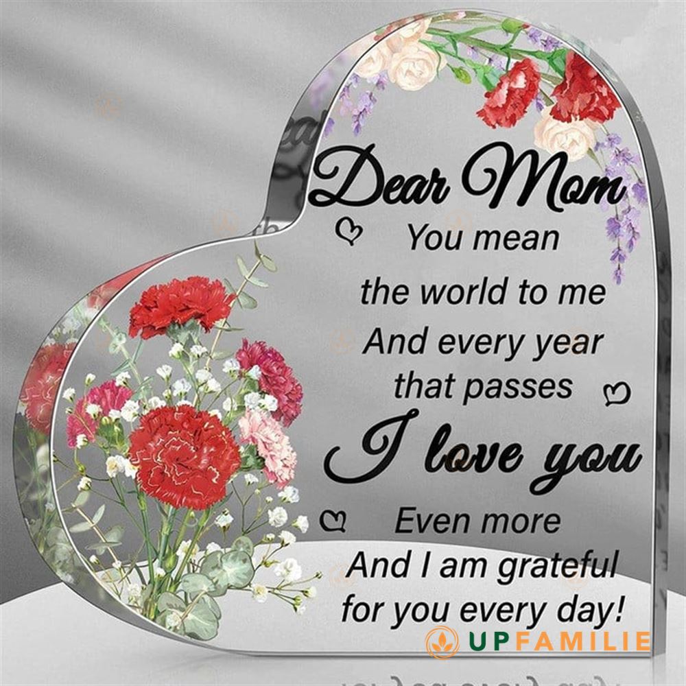 Acrylic Plaque You Mean The World To Me Gift For Mom