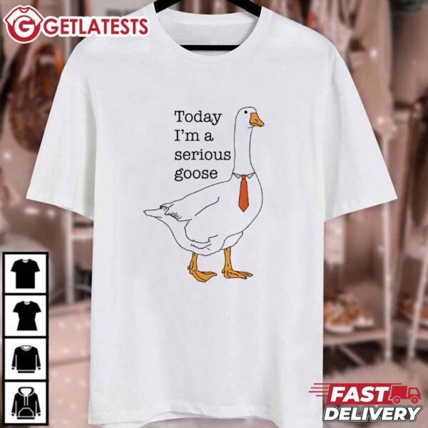 Today I'm A Serious Goose Funny T Shirt (1)