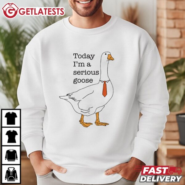 Today I'm A Serious Goose Funny T Shirt (4)