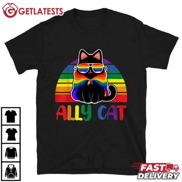 Ally Cat Be Kind Gay Rainbow Funny LGBTQ Flag Gay Pride T Shirt (1)