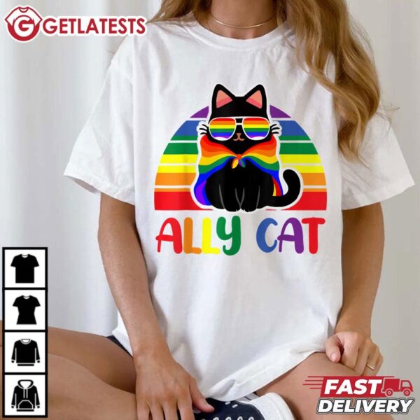 Ally Cat Be Kind Gay Rainbow Funny LGBTQ Flag Gay Pride T Shirt (3)