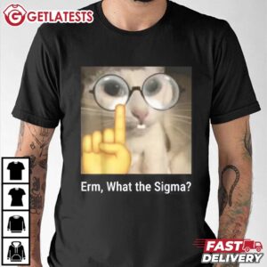 What the Sigma Cat Meme T Shirt (2)