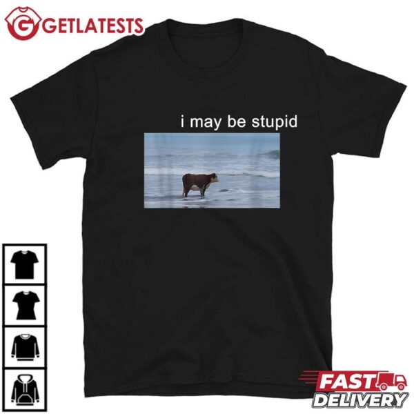I May Be Stupid Cow Oddly Specific Dank Meme T Shirt (1)