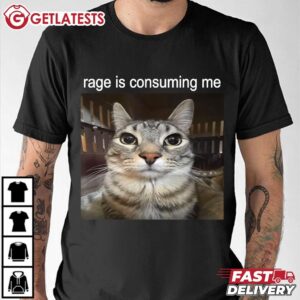 Rage Is Consuming Me Silly Staring Cat Meme T Shirt (1)