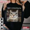 Rage Is Consuming Me Silly Staring Cat Meme T Shirt (2)