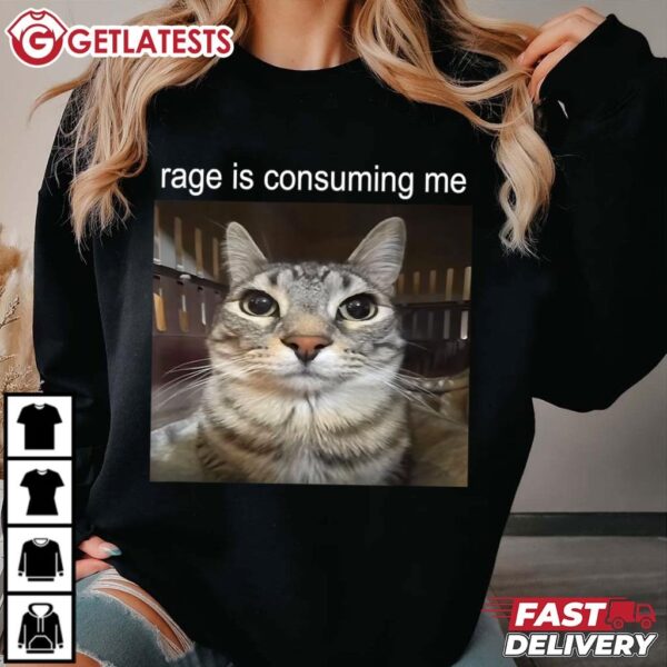 Rage Is Consuming Me Silly Staring Cat Meme T Shirt (2)