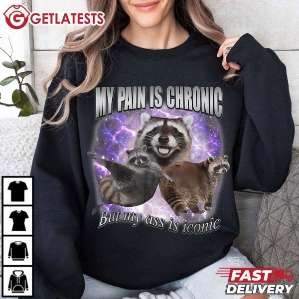 Racoon Meme My Pain Is Chronic But My Ass Is Iconic T Shirt (3)