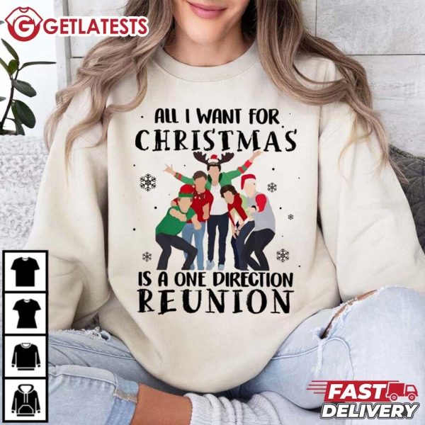 All I Want For Christmas Is A One Direction Reunion T Shirt (1)