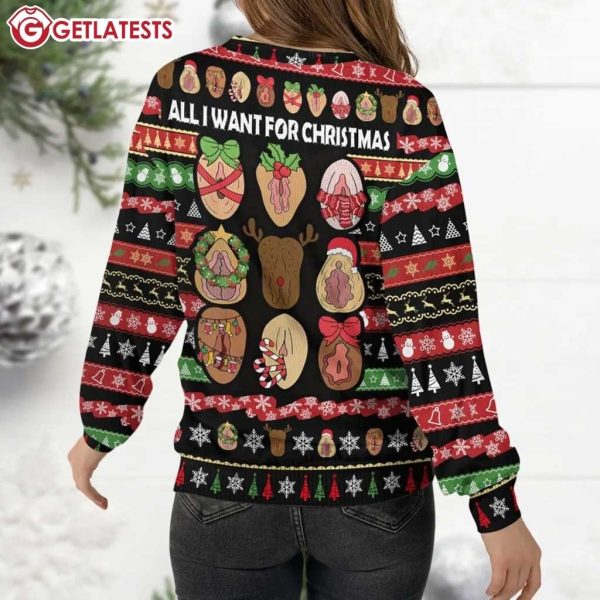 Dirty Merry Christmas All I Want For Christmas Ugly Sweater (3)