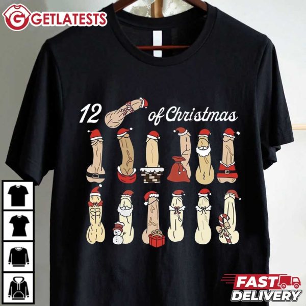 Merry Dickmas 12 Days of Dirty Christmas T Shirt (1)