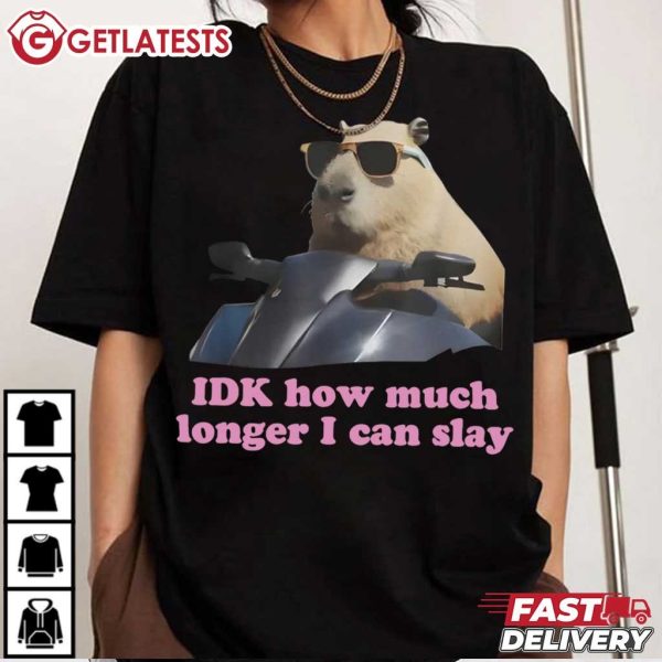 Capybara IDK How Much Longer I Can Slay Meme T Shirt (4)