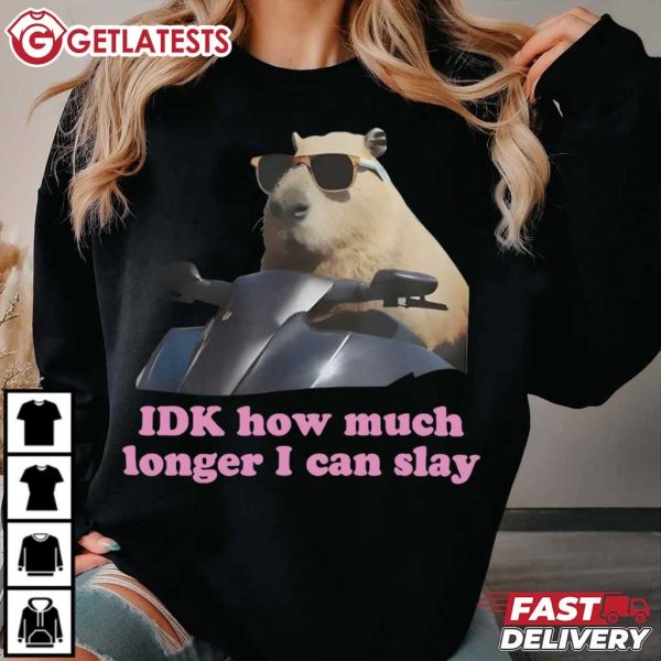 Capybara IDK How Much Longer I Can Slay Meme T Shirt (1)