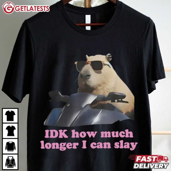 Capybara IDK How Much Longer I Can Slay Meme T Shirt (2)