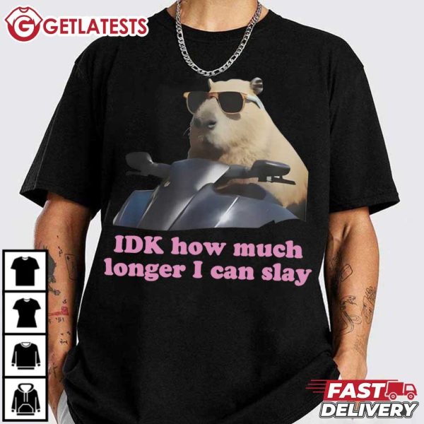 Capybara IDK How Much Longer I Can Slay Meme T Shirt (3)