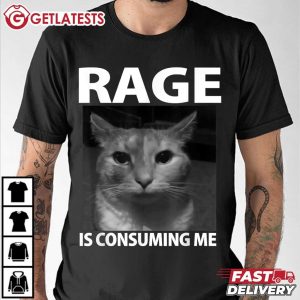 Rage is Consuming Me Silly Staring Cat Meme T Shirt (3)