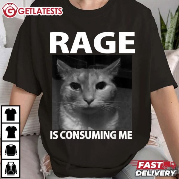 Rage is Consuming Me Silly Staring Cat Meme T Shirt (1)