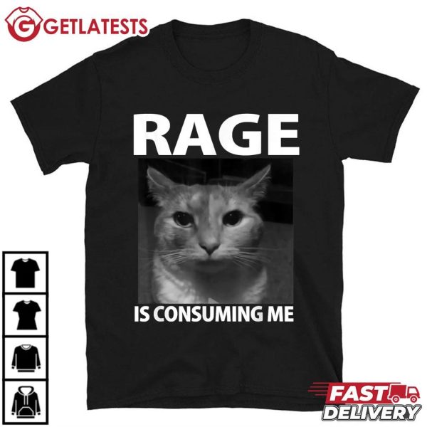 Rage is Consuming Me Silly Staring Cat Meme T Shirt (2)