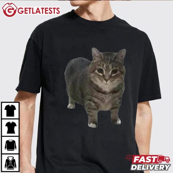 Spinning Cat Funny Cat Meme T Shirt (3)