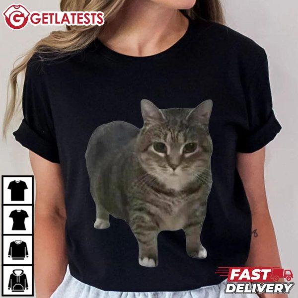 Spinning Cat Funny Cat Meme T Shirt (1)