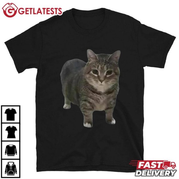 Spinning Cat Funny Cat Meme T Shirt (2)