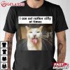 I Can Act Rather Silly At Times Silly Cat Meme T Shirt (3)