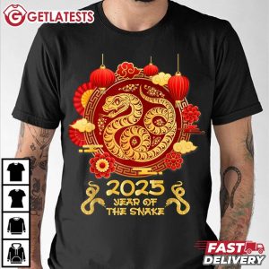 Year Of The Snake 2025 Lunar New Year Chinese T Shirt (3)