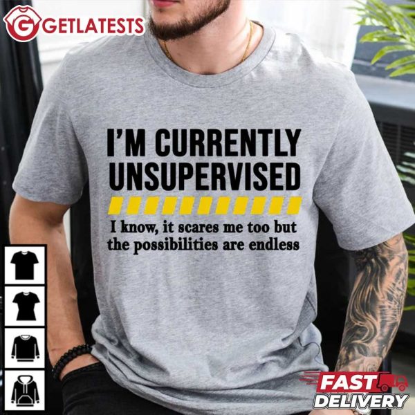 I Am Currently Unsupervised But Possibilities Are Endless T Shirt (4)