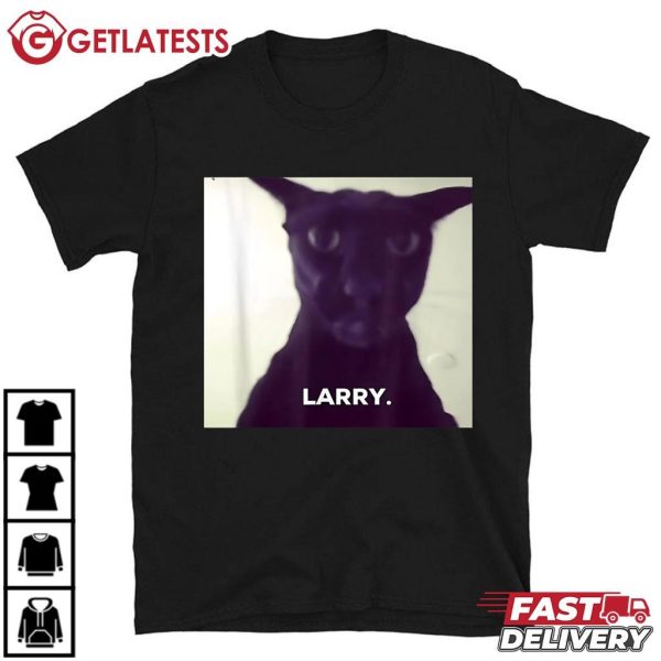 Larry Cat Funny Meme T Shirt (2)