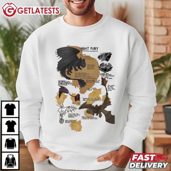 How To Train Your Dragon Disney Movie Night Fury Toothless T Shirt (3)