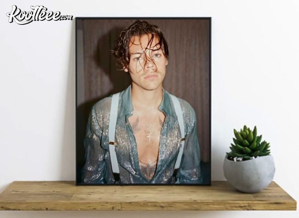 Harry Styles Wet Hair Poster