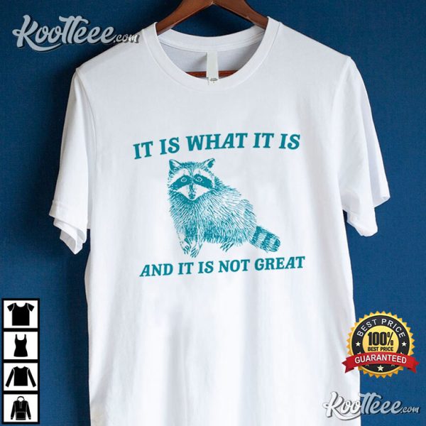 It Is What It Is And It Is Not Great Raccoon T-Shirt