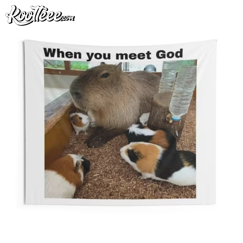 Capybara When You Meet God Funny Wall Hanging Aesthetics Tapestry